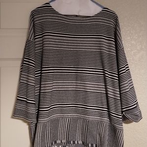 Navy and white J.Jill sweater